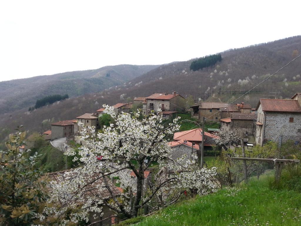 Il Borgo Dei Corsi - Charming Holiday Apartments Ortignano Raggiolo Екстериор снимка