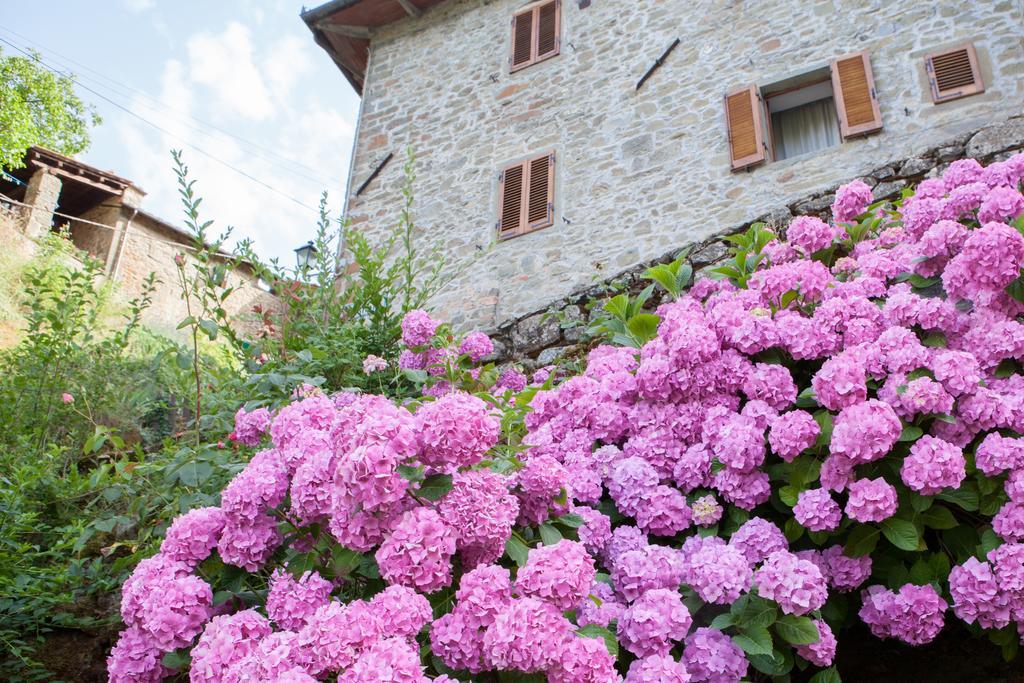 Il Borgo Dei Corsi - Charming Holiday Apartments Ortignano Raggiolo Екстериор снимка